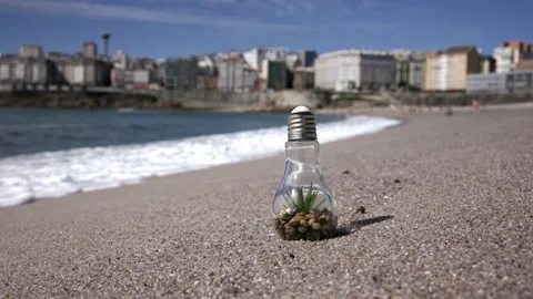 Alternative energy sources, light bulb on the sand Stock Footage 215006622