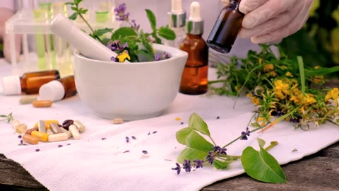 Alternative medicine medicinal herbs. Selective focus. Stock Footage 281185265