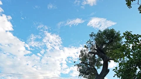 Alternative view of a bright blue sky filled with white clouds and green tree. Stock Footage 347457559