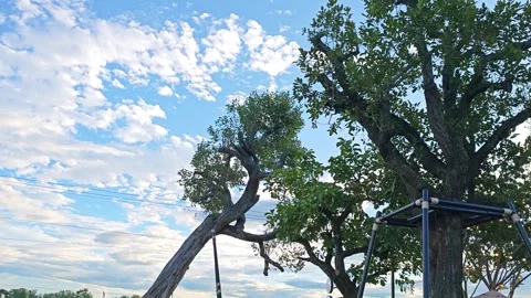 Alternative view of green trees against a beautiful cloudy blue sky. 動画素材 347457370
