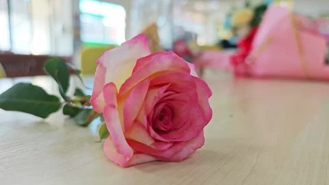 Alternative view of a single two-tone pink and orange rose on a wooden table. Stock Footage 347587367