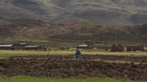 Altiplano Stock Footage 272285003
