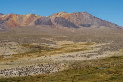 Altiplano Stock Photos