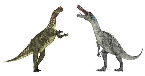 Altirhinus and Suchomimus isolated on white background Illustrazione stock