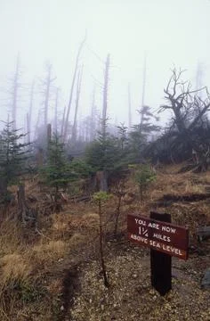 Altitude on top of mount mitchell, nc Stock Photos