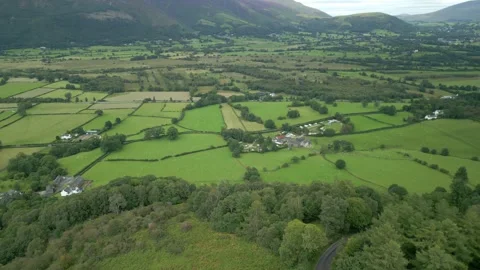 Altitude view over forest edge towards green patchwork fields and distant Stock Footage 247975629