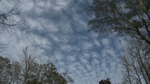 Altocumulus into Cirrus Stock Footage 54707593