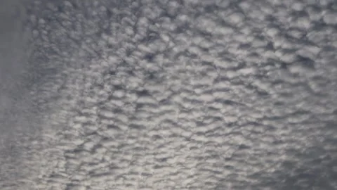 Altocumulus cloud field drifting across sunset sky in real time Stock Footage 333284253