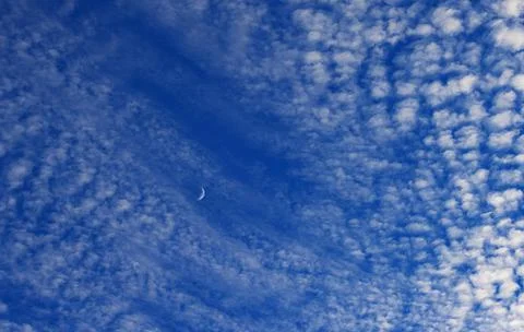 Altocumulus clouds with crescent moon fleecy clouds Upper Austria Austria Europe Fotos Stock