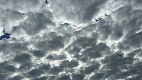 Altocumulus Clouds Stock Footage 231071485