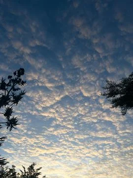 Altocumulus Clouds at Sunrise Stock Photos