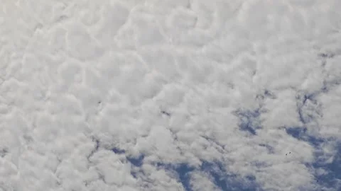 Altocumulus clouds texture with flying birds background. Видео 341958425