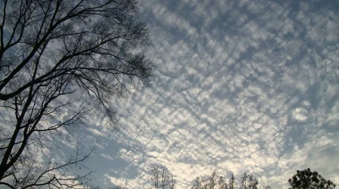 Altocumulus in the Evening Stock Footage 54708566