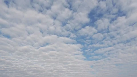 Altocumulus floccus clouds drift across a blue sky in time lapse, atmospheric Stock Footage 346195452