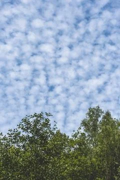 Altocumulus floccus clouds Stock Photos