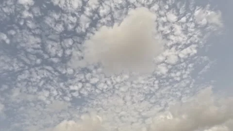 Altocumulus Mackerel Sky Time Lapse White Puffy Clouds Moving Fast Stock Footage 344669589