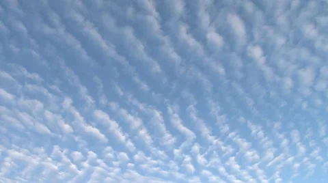 Altocumulus Pattern Clouds Pan Stock Footage 7906815
