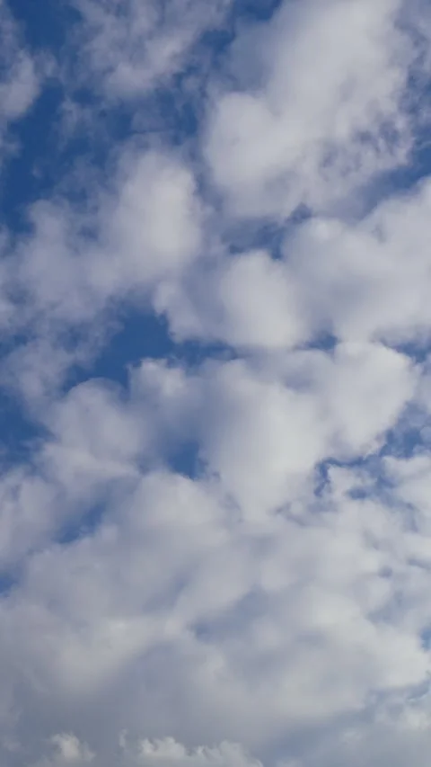 Altocumulus Sheep Clouds Scattered on Blue Sky Time Lapse Vertical Stock-Footage 345938180