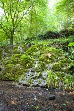 Alum Spring waterfall in Hackfall Woods, Yorkshire Dales, UK Stock Photos
