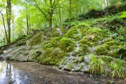 Alum Spring waterfall in Hackfall Woods, Yorkshire Dales, UK Stock Photos