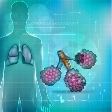Alveoli a part of the respiratory system. Lung silhouette at the background. Stock Illustration