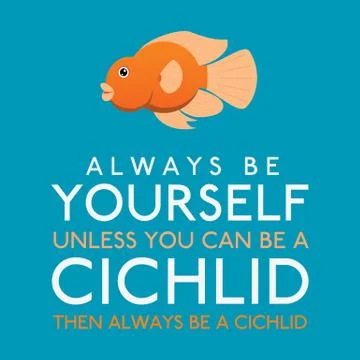 Always Be Yourself Unless You Can Be A Cichlid in vector format. Stock Illustration
