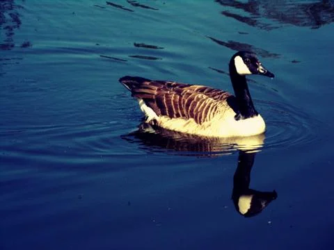 Am alone Fotos de archivo