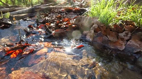 Am Bach Stock Footage 153284267