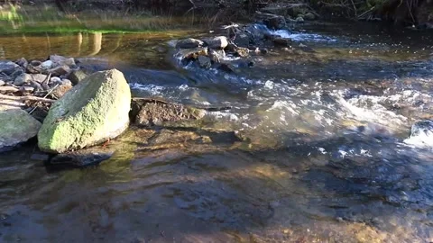 Am Bach Video stock 153284288