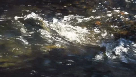 Am Bach Stock Footage 153284317