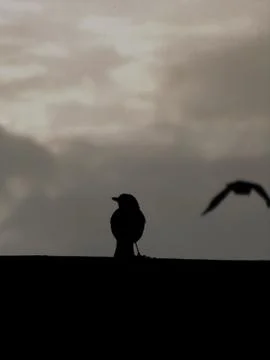 Am off Fotos de archivo