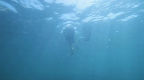 Ama Diver Видео 30443116