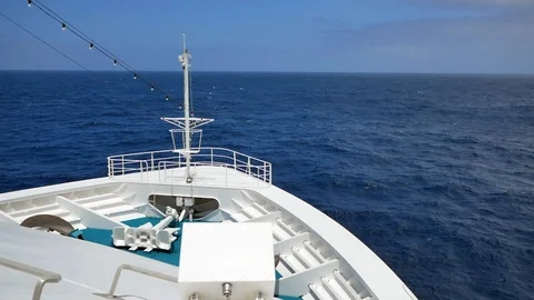 Amadea Bow Stock Footage 117131884