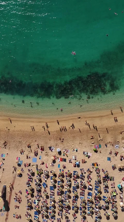 Amadores beach from above Stock Footage 313666951