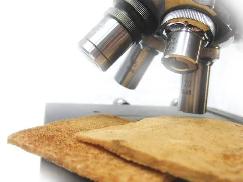 Amadou Patches- cleaning the microscope Stock-Fotos