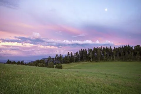 Amaizing sunset sky with pink clouds over the forest. Stock Photos