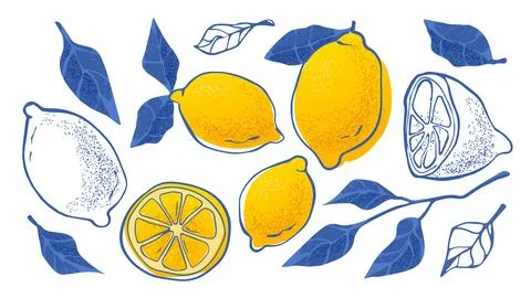 Amalfi lemon collection Stock Illustration