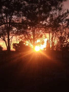 Amanecer Photos