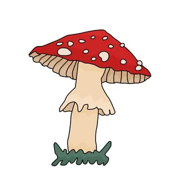 Amanita toadstool isolated mushroom. Vector doodle fly agaric illustration on a Stock Illustration