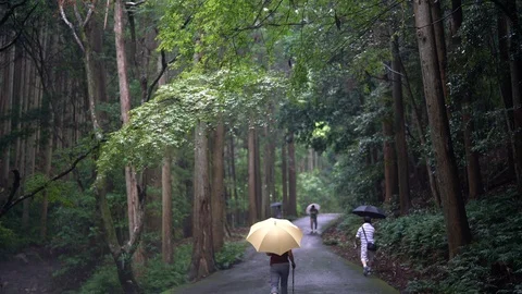 Amanoiwato shrine in Mie. Stock Footage 115489211