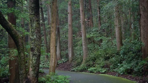 Amanoiwato shrine in Mie. Stock Footage 115489260
