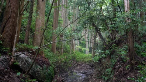 Amanoiwato shrine in Mie. Stock Footage 115489301