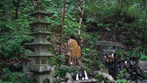 Amanoiwato shrine in Mie. 動画素材 115489492
