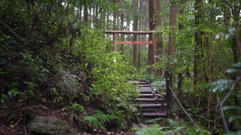 Amanoiwato shrine in Mie. Stock Footage 115489598