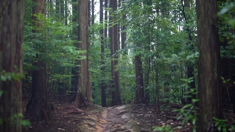 Amanoiwato shrine in Mie. Stock Footage 115489646