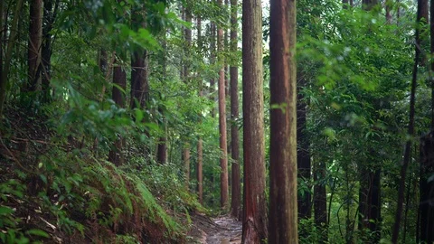 Amanoiwato shrine in Mie. Stock Footage 115489650