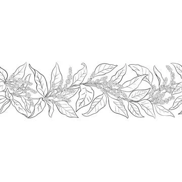 Amaranth Outline Horizontal Seamless Pattern Stock-Illustration