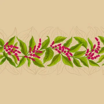 Amaranth plant vector pattern on color background Stock Illustration
