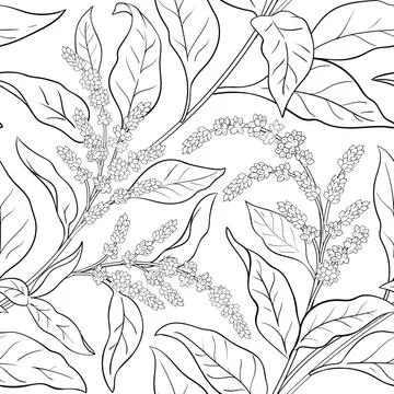 Amaranth plant vector pattern on white background Illustrazione stock