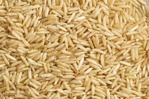 Amaranth seeds Stock Photos